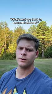 Why Backyard Chickens Are Great Pets