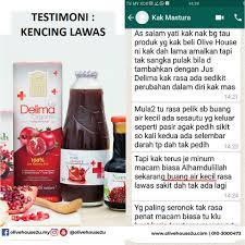 Ini kerana ekstrak biji delima kaya. Khasiat Jus Delima Dan Perbezaan Antara Pati Dan Jus Delima