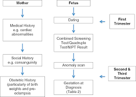 Differential Diagnosis Of Fetal Growth Restriction Chapter