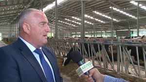 Din bucurești sunt zboruri directe către dubai, iar prețurile în lunile ianuarie și februarie variază între 200. A Bagat 1 5 Milioane De Euro Intr Un Grajd Cu Vaci Youtube