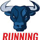 Running With The Bulls