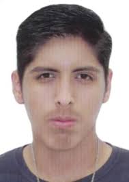 Otorongo CASTILLO TURPO, EMEL ARON. DNI: 73089929