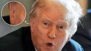 Adam Maier-Clayton's assisted-dying advocacy work will continue after his  death