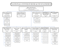 62 Prototypic Health Information Management Department