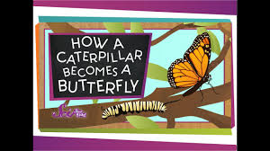 Check spelling or type a new query. How A Caterpillar Becomes A Butterfly Youtube
