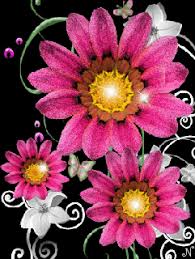 The designs of latest rose flower wallpapers widescreen 2 high definition wallpapers hd are best love for any who love nature. Nature Flower Image Rose Animated Iphone Live Wallpaper Download On Phoneky Ios App