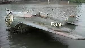 Image result for Michigan Blue 2009 Fleet