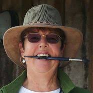 Watercolour New Zealand