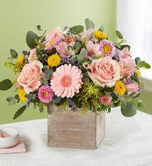 Maybe you would like to learn more about one of these? Spring Sentiment Bouquet Flower Delivery North Fort Myers Fl North Fort Myers Florist