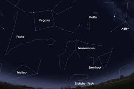 ♑ er weiß, was er will und holt es sich auch. Steinbock Astrokramkiste