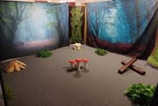Escape from the Terrible Thicket! (For staff)