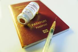40 vidéos disponibles pour passeport vaccinal. Passeport Vaccinal La Vaccination Bientot Obligatoire