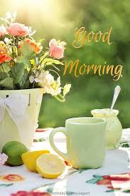 good morning photo के लिए इमेज परिणाम