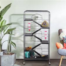 A wide variety of pet squirrel cages options are available to you, such as sustainable, breathable, and windproof. Squirrel Cage Products For Sale Ebay