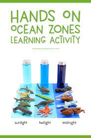 Ocean Zones For Kids Learning About The Amazing Ocean Ocean Zones Ocean Theme Preschool Ocean Activities Preschool