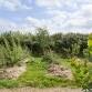 Spring Natural Farming Workshop – Focus on the S... event in Bideford