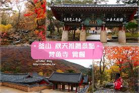 釜山推薦景點 秋天就來梵魚寺범어사賞楓吧 山間寺廟與遠山楓紅的絕美景致 windko 臺灣 韓國 旅遊 美食 生活 busan