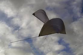 First Kites