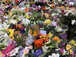 Most recently you teamed up with parcast to host a new series supernatural with ashley flowers. We Just Came Here To Respect Those Who Lost Their Lives People Are Laying Flowers In Christchurch