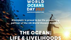 More than 140 countries take part and pledge to consider the importance of the ocean. Blancpain Presenting Partner To United Nations World Oceans Day 2021 Watch I Love