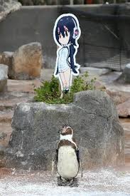 Often determined, she's ready to get things done even when scared or anxious. This Story About A Penguin Falling In Love With An Anime Cutout Is An Oscar Worthy Love Story