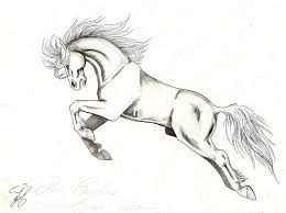 Learn To Draw Horse Sketch Horse Drawings Drawings