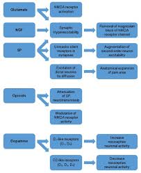 Fibromyalgia Endotext Ncbi Bookshelf