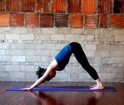 Downward Facing Dog Yoga Poses For Back Essential Yoga Poses Basic Yoga Poses