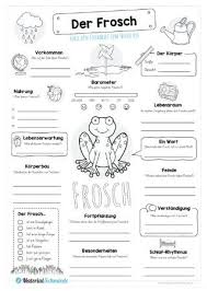 Da die vierte klasse, die ich. Frosche Kostenlose Arbeitsblatter In 2020 Kostenlose Arbeitsblatter Arbeitsblatter Grundschule Unterrichtsmaterial Grundschule