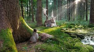 Pemandangan alam di senja hari. Gambar Mewarnai Pemandangan Hutan Mewarnai Gambar
