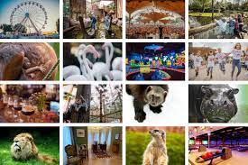 Maybe you would like to learn more about one of these? Gaiazoo Verlangerung Neue Partner Festival Endlich Mal Wieder Gute News Rheinlandcardrheinlandcard