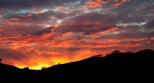 Only a selling sunset expert can score 100% on this trivia quiz. Will The Sun Ever Die Trivia Questions Quizzclub