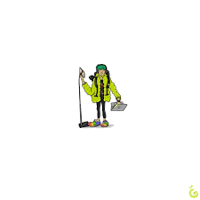 Mallika Iyer (@graphic_guava) • Instagram photos and videos