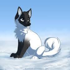 Maybe you would like to learn more about one of these? 15 Coole Bilder Ideen Coole Bilder Anime Tiere Susse Pokemon