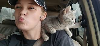 Lost cat near Bria of Alton