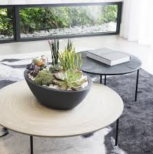 Trough planters are a great, inexpensive alternative to other containers. 10 Clever Plant Decoration Ideas For In Your Living Room Eplanters