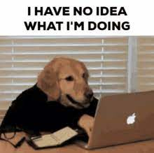 I Dont Know What Im Doing Gifs Tenor