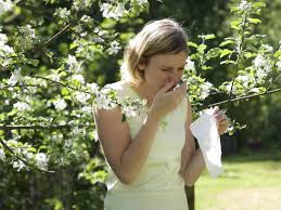 Ragweed plants are a common allergen. Was Hilft Gegen Heuschnupfen Servus
