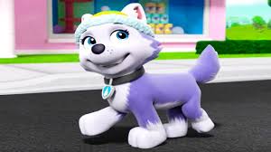 She is the paw patrol 's snowy mountain pup, the 7th pup, and the 9th overall member of the team (including ryder and the paw patroller). Paw Patrol A Day In Adventure Bay Everest Episode 7 Youtube