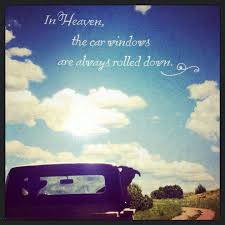 In Heaven The Car Windows Are Always Rolled Down Love This Dog Heaven Dog Quotes Dog Heaven Quotes