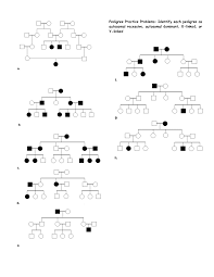 Pedigree Worksheet Zerobio Answer Key Kids Activities