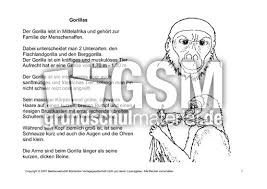 Im folgenden stellen wir euch passendes material für den schulunterricht für das fach deutsch in der 1. Fehlerlesen Gorilla Lesetext 1 4 Gorillas Fehlerlesen Deutsch Klasse 4 Grundschulmaterial De