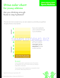 Preview Pdf Urine Color Chart For Young Athletes 1
