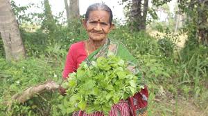 See more of thotakura ajay yadav on facebook. How To Cook Thotakura Curry In Grandma S Style Myna Street Food Food Info Youtube