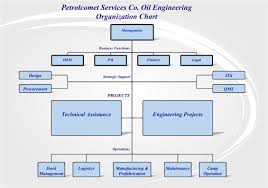 Petrolcomet Organisation Chart