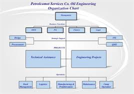 petrolcomet organisation chart