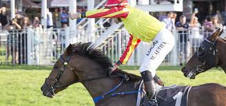 Melbourne Cup Bunbury Racing Wagering Wa