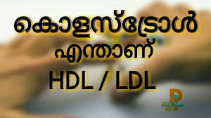 Cholesterol Control Food Chart In Malayalam