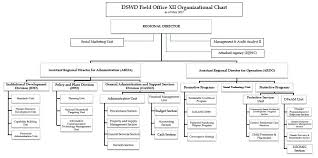 73 Unusual Lgu Organizational Chart