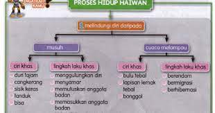 Check spelling or type a new query. Panitia Sains Al Amin Bangi Topik Tahun 5 Proses Hidup Haiwan